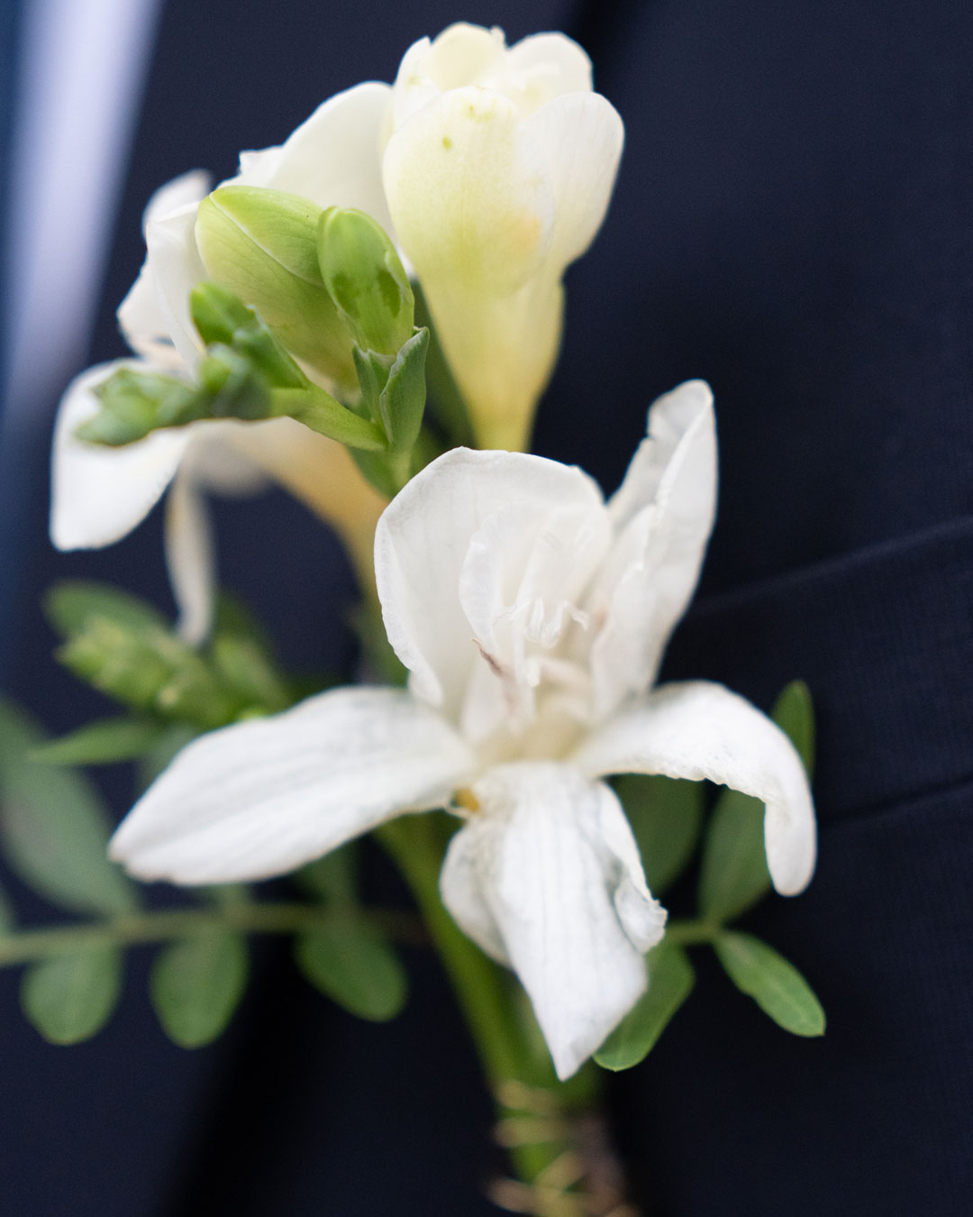 gros-plan-fleur-photographe-de-mariage-arnaud-berquez