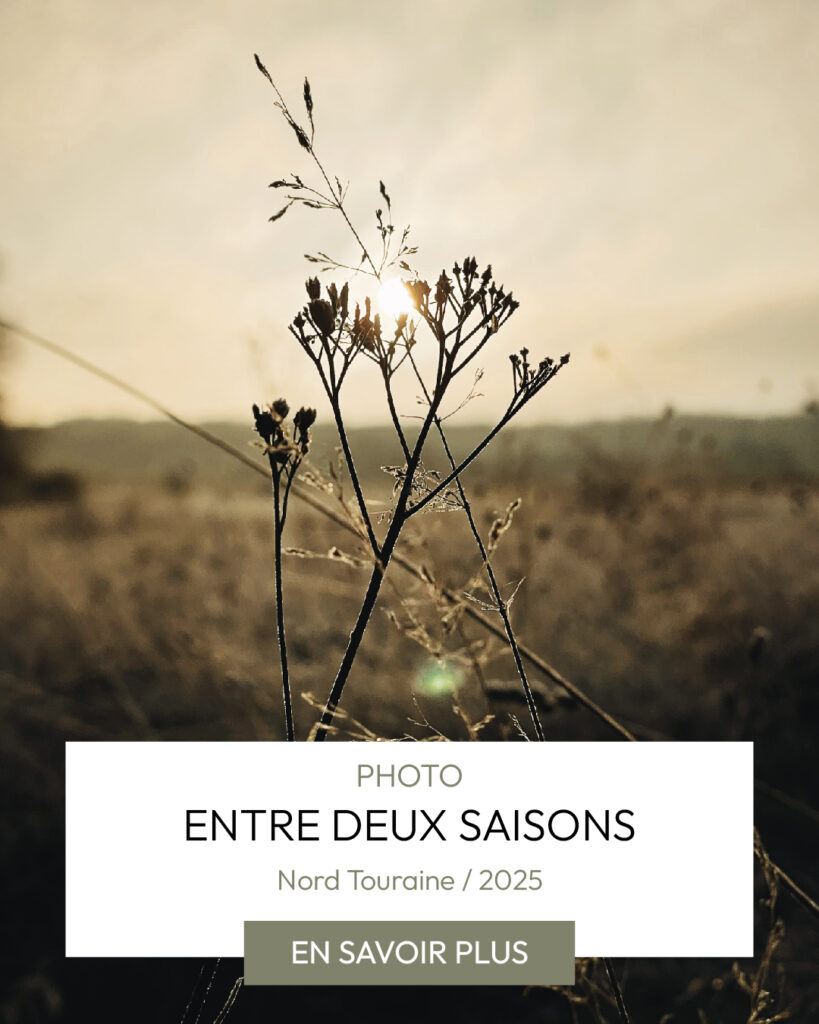 visuels-journal-nature-photographe-touraine-arnaud-berquez